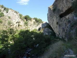 stoleone-09-08-2020 09